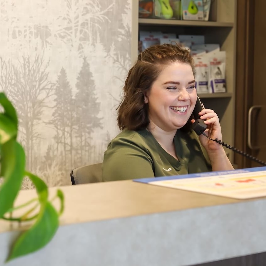 Cypress Vet Team Member Brook at the reception desk