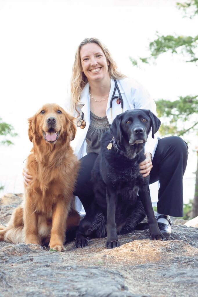 Crystal Brazle DVM at Shuksan Veterinary Services Mobile Abdominal Ultrasound